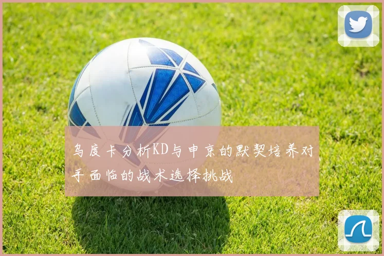 乌度卡分析KD与申京的默契培养对手面临的战术选择挑战