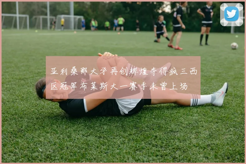 亚利桑那大学再创辉煌夺得疯三西区冠军布莱斯大一赛季未曾上场